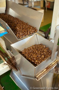greenwell-farms-kona-coffee-espresso_3